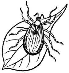 A cartoon spider with a scary black silhouette and an arachnid vector on a white background