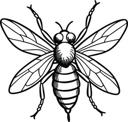 Black and white vector illustration of a spring beetle and butterfly on a floral design with leaf patterns