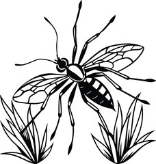 Black and white vector illustration of a lily flower with leaves and petals