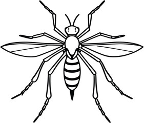 Black spider vector illustration on white background