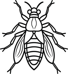 Macro close-up vector illustration of a fly insect on white background