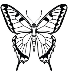 Butterfly vector illustration isolated on white background