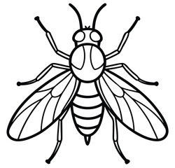Vector illustration of a fly bee and wasp isolated on white background