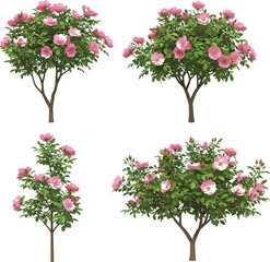 Fototapeta premium Pink flowering trees illustration, spring blossom landscape, botanical garden art, blooming shrubs, seasonal nature design, floral foliage, decorative plant scene