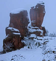 Belogradchik snowy rocks in blizzard