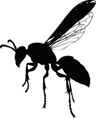 Wasp vector hand drawn line art in nature, wasp silhouette minimalist with detailed wings &mdash; stock vector