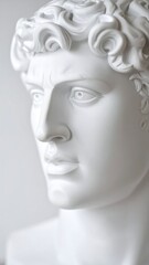Serene bust, classical features