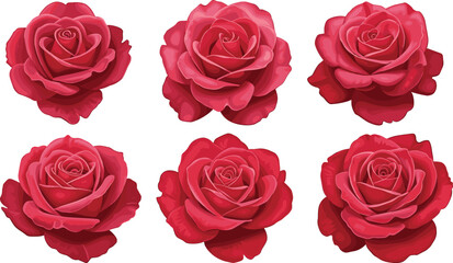 Fototapeta premium Set of six realistic red rose vector illustrations with layered petals, floral design elements, romantic botanical art for decoration