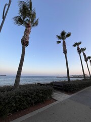Limassol seafront molos
