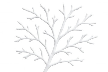 White coral branch growing on a transparent background, creating a delicate and elegant natural form