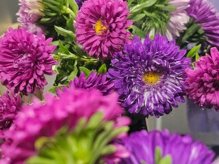 Obraz premium flowers, purple flowers, floral background, aster flowers