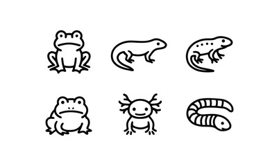 Fototapeta premium Minimalist line icons of amphibians and reptiles