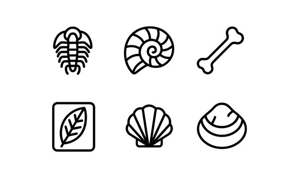 Minimalist fossil icon set with shells and bones in linear style