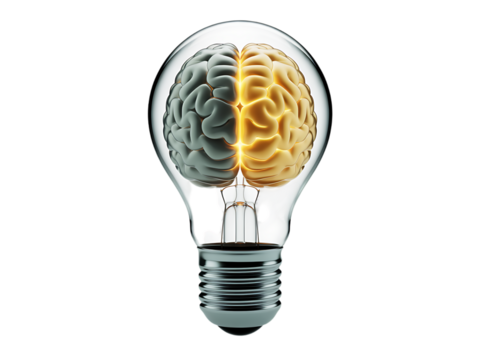 Brain inside lightbulb symbolizing ideas innovation intelligence and creative thinking transparent background