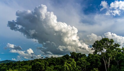 Obraz premium Dramatic clouds over a lush forest