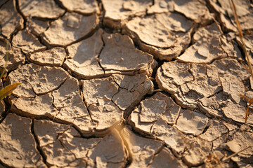 dry cracked soil
