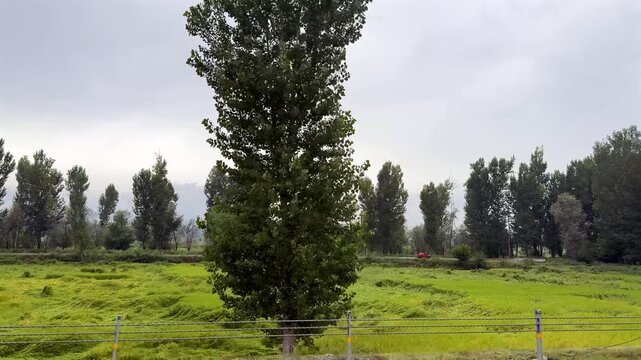 Water Floods in Kashmir India, Jhelum River Overflow, September 2025 Disaster, Rising Water Levels, Aerial Views, Affected Villages and Cities  Clip 143