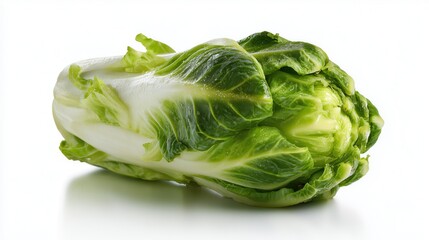Fototapeta premium Fresh green lettuce head with crisp leaves isolated on white.