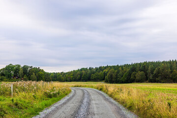 Gravel road winding through autumn meadow with forest in background and cloudy sky. Sweden.
