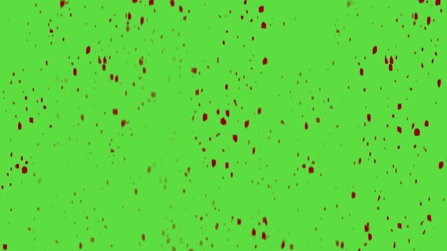 Full Screen Blood Splatter Animation | Hand-Drawn Vector Green Screen
