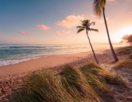 pastel toned beach scene at dawn