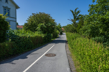 Quiet asphalt road through green suburban area.