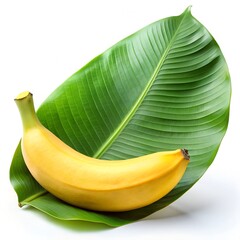 green banana isolated on white