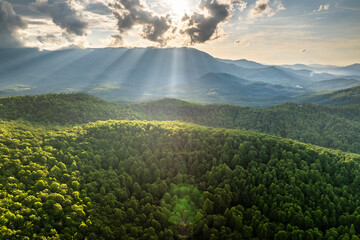 Fototapeta premium Mount Mitchell State Park with summer woods of Appalachian mountains with green canopies in colorful forest at sunset. Wild nature in summertime season