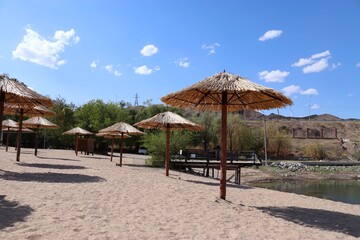 Row of straw umbrellas on a sandy beach