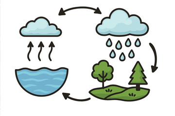 Water cycle vector illustration showing key phases of evaporation, condensation, precipitation, collection, with cartoon icons of clouds, rain, trees, river, arrows, educational science diagram