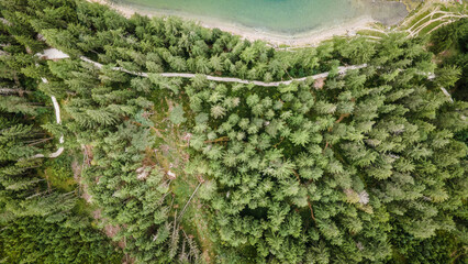 Grüner See, Steiermark, Österreich. Mountains. Bosque en la laguna verde en austria