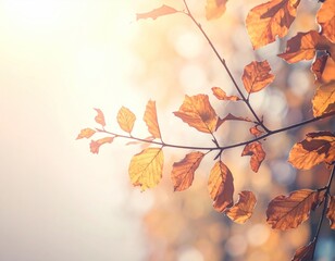 Autumnal Branch Sunlight Through Golden Leaves Against Bokeh Background