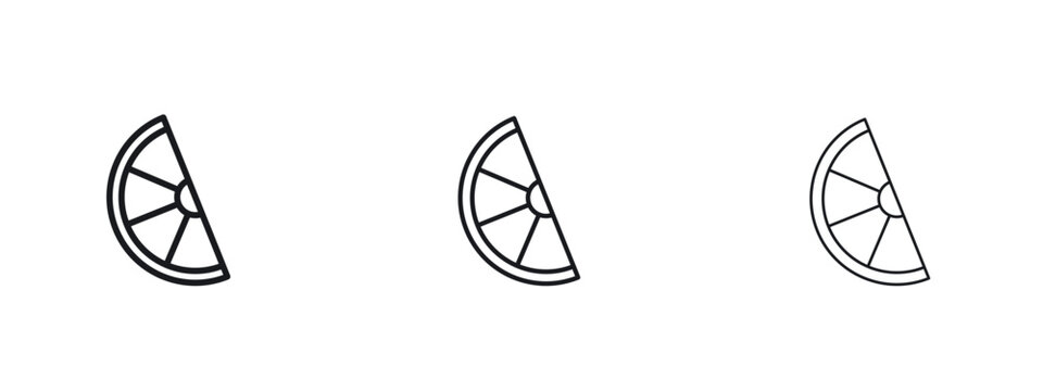 Citrus slice icon vector Logo Designs - Stock vectors.