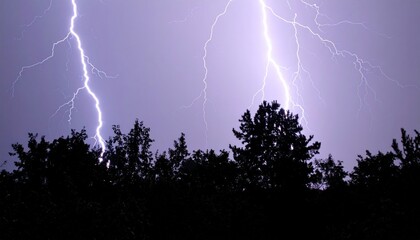 Electric Storm Displaying Multiple Lightning Strikes Over Silhouette Treeline at Night