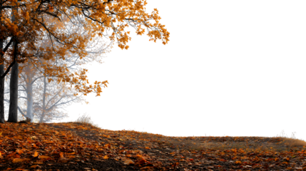 golden autumn foliage with serene atmosphere  isolated on white background