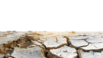 Cracked earth texture with a barren look  isolated on white background