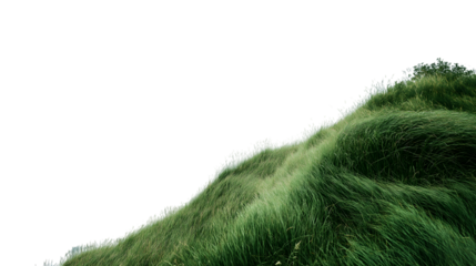 lush green hill with vibrant grass isolated on white background