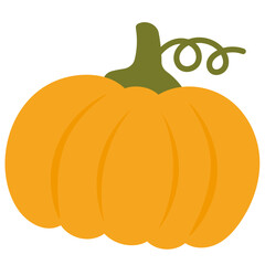 Pumpkin Illustration