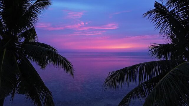 Moving near coconut palm trees in dusk on tropical island at beautiful sunset, 4k