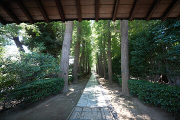 大田黒公園