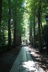 大田黒公園
