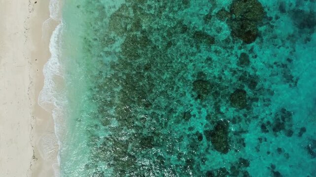 Aerial top view of beautiful tropical beach with white sand and sea, Balicasag island, Philippines, 4k