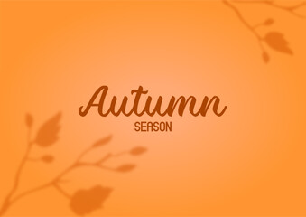 Background design shadow leaves. fall leaves, trees, sky. Frame, background for text. Autumn leaves background.