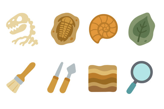 Fossil Discovery Icons. Flat vector mini-illustrations Fossil excavation discoveries in colors children's illustrations: dinosaur