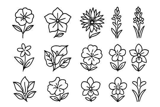 Night-Blooming Flowers Icons. Outline icon set of Night-blooming flowers: evening primrose, moonflower,