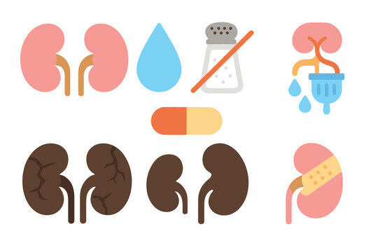 Kidney Health Icons. Flat vector mini-illustrations Healthy vs. unhealthy kidneys in colors children's illustrations: pink kidney