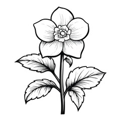 vector illustration of a flower