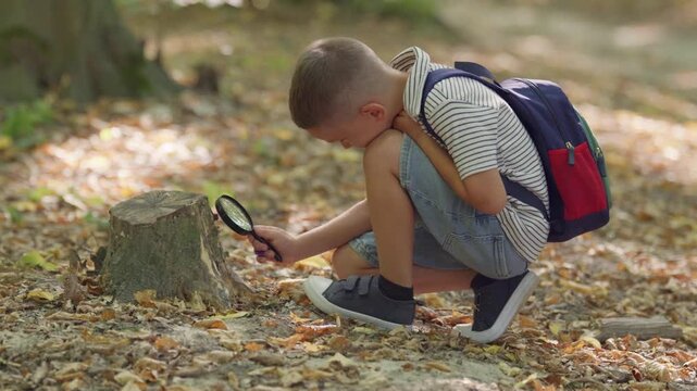 A young boy smiles as he uses a magnifying glass to examine a tree stump in a forest, enjoying a day of discovery.