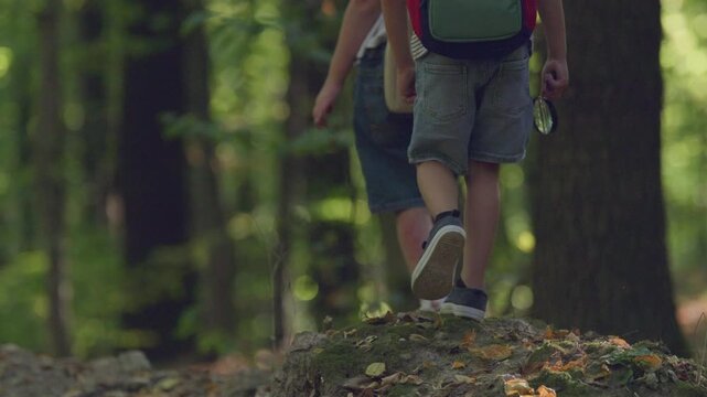 Two young hikers wearing backpacks walk along a path through a lush green forest on a sunny day.