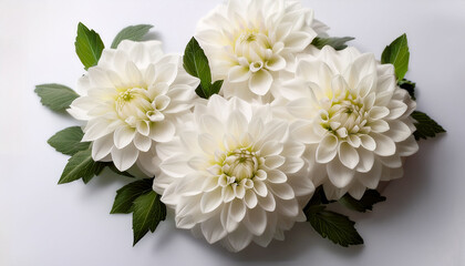 Delicate Bouquet Of White Dahlia Flowers On A White Background Symbol Of Elegance And Beauty